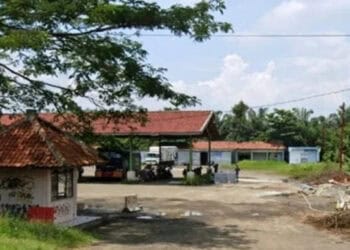 Relokasi PKL ke Terminal Curug Batal, Pemkab Lebak Pilih Wilayah Kandang Sapi