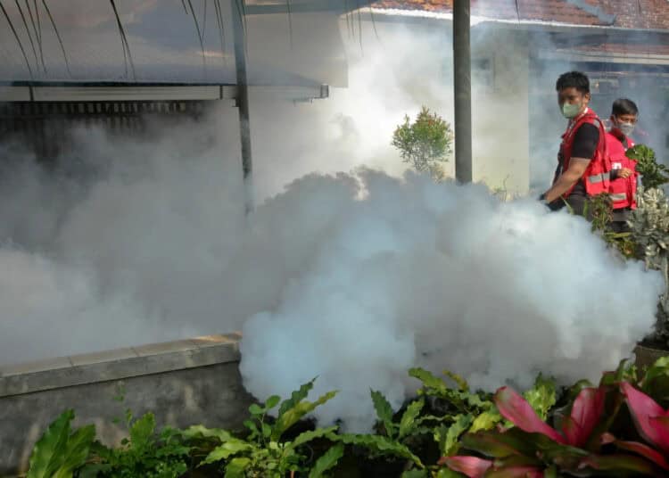 Foto Pengasapan Cegah DBD di Pemukiman Warga