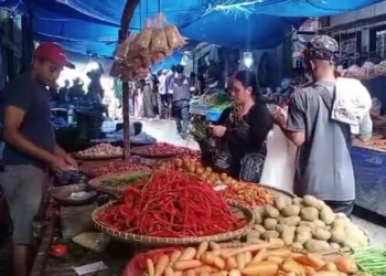 Gagal Panen Jadi Sebab Harga Bahan Pangan di Pasar Rangkasbitung Tinggi