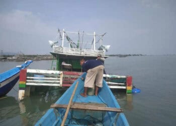 IMG-20220623-WA0030