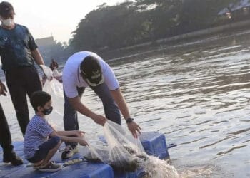 Dua Tahun Dihentikan, Kota Tangerang Kembali Gelar Car Free Day