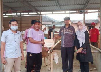 PENYERAHAN KAMBING: Tim Citiplaza Kutabumi menyerahkan 1 ekor kambing kepada Masjid Al-Muhajirien dan Masjid Jami Al-Barokah di Kecamatan Pasar Kemis, Sabtu (9/7/2022). (ISTIMEWA)