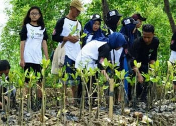 Ini Kisah KTH Rawa Burung Berjibaku Lestarikan Hutan Mangrove