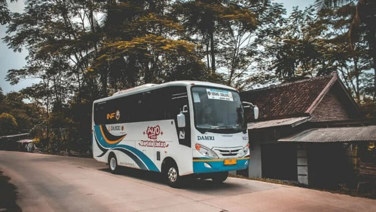 Bus Damri siap mengakomodir 3 trayek di Pandeglang. (ISTIMEWA)