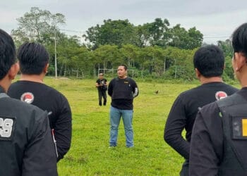 Kejar Tersangka hingga ke Aceh, Satresnarkoba Polres Serang Ladang Ganja