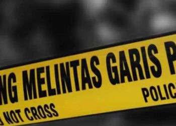 Garis-Polisi