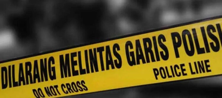 Garis-Polisi
