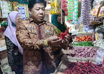 Kepala Diskoumperindag Kabupaten Serang, Adang Rahmat didamping Camat Baros, Sri Rahayu Basukiwati, mengecak cabai yang dijajakan oleh para pedagang di Pasar Baros, Kamis (8/9/2022). (ISTIMEWA)