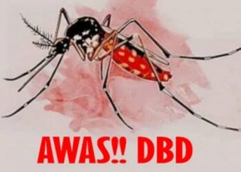 Hingga September 2022, Dinkes Tangsel Catat 577 Kasus DBD