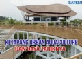 Video Daya Tarik Ketapang Urban Aquaculture di Kabupaten Tangerang
