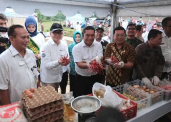 Badan Pangan Nasional dan Pemprov Banten, panen cabai merah, Kamis (10/11/2022). (ISTIMEWA)