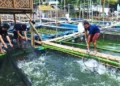 Maksimalkan Potensi Wilayah, Warga di Periuk Ini Sukses dengan Keramba Ikan