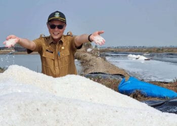Kepala Dinas Ketahanan Pangan dan Perikanan (DKPP) Kabupaten, Serang Suhardjo, meninjau lokasi produksi garam, Senin (26/12/2022). (ISTIMEWA)