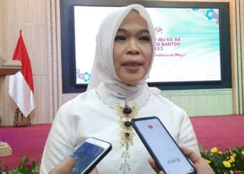 Kepala DP3AKKB Provinsi Banten, Sitti Ma’ani Nina, sedang di wawancara sejumlah wartawan. (LUTFI/SATELITNEWS.COM)