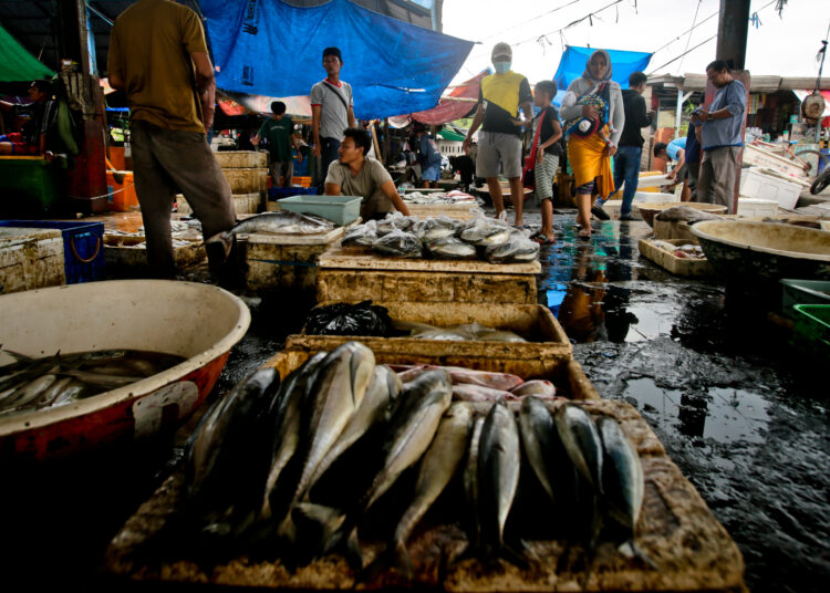 Foto Akibat Cuaca Ekstrim, Harga Ikan di TPI Cituis Tangerang Naik