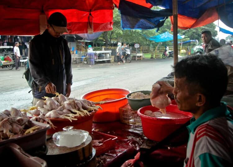 Foto Pedagang Daging Ayam di Pasar Anyar, Harga Naik Jelang Nataru