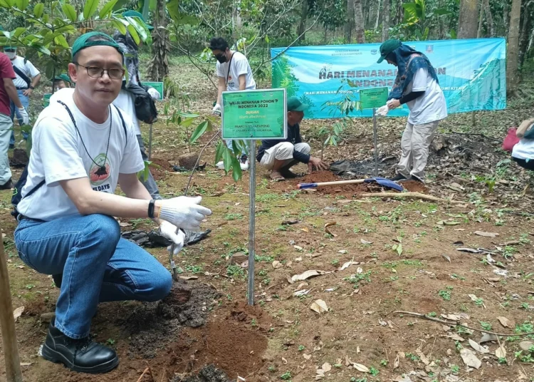 Ratusan karyawan industri kimia, menanam pohon di Taman Kehati Kampung 165, Desa Kadubeureum, Kecamatan Padarincang, Kabupaten Serang, Rabu (7/12/2022). Sebagai upaya perlindungan lingkungan, serta mitigasi dan adaptasi perubahan iklim. (ISTIMEWA)
