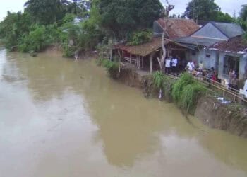 Abrasi disepanjang Sungai Ciujung, ancam pemukiman warga. (ISTIMEWA)