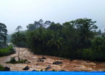 Debit air Sungai Leuwiputih (anak Sungai Cilemer), yang melintasi area Jalan Raya Mengger – Mandalawangi, meningkat, Rabu (25/1/2023). (MARDIANA/SATELITNEWS.COM)