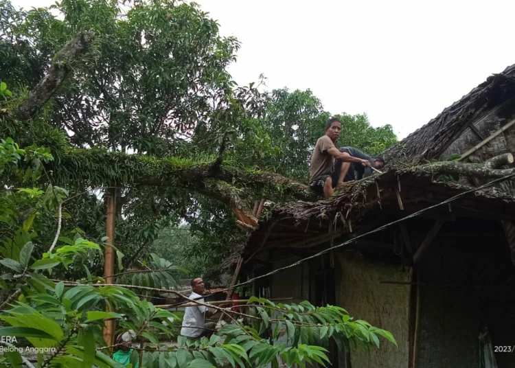 Sebuah rumah rusak berat, akibat tertimpa pohon tumbang yang diterjang angin kencang, di Kecamatan Patia, Kabupaten Pandeglang, Minggu (1/1/2023). (ISTIMEWA)