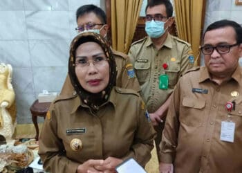 Bupati Serang Ratu Tatu Chasanah. (ISTIMEWA)