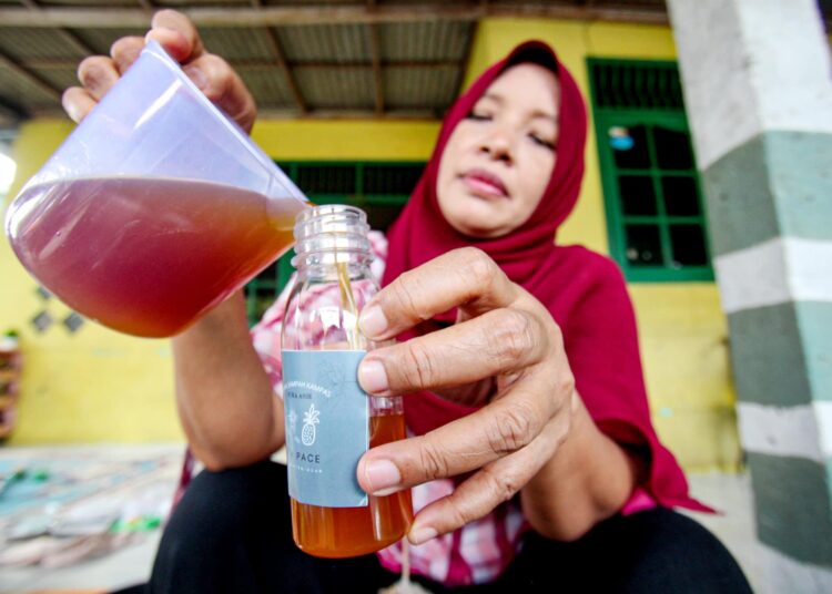 Foto Produksi Rumahan Minuman Tepache di Kota Tangerang