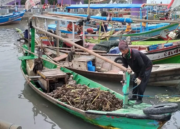 Nelayan Tak Bisa Melaut, Pemkab Tangerang Salurkan Bantuan Logistik