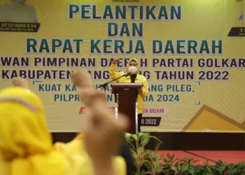 Ketua DPD Partai Golkar Banten, Ratu Tatu Chasanah. (ISTIMEWA)