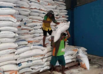 Stok beras Bulog aman jelang bulan Ramadhan dan Idul Fitri 2023. (ISTIMEWA)