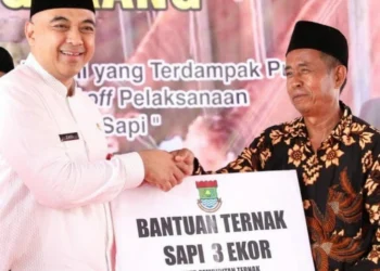Vaksinasi LSD di Kabupaten Tangerang Dimulai