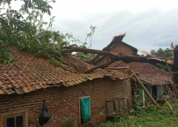 Pohon tumbang akibat diterjang angin kencang, menimpa rumah warga, beberapa hari lalu. (ISTIMEWA)