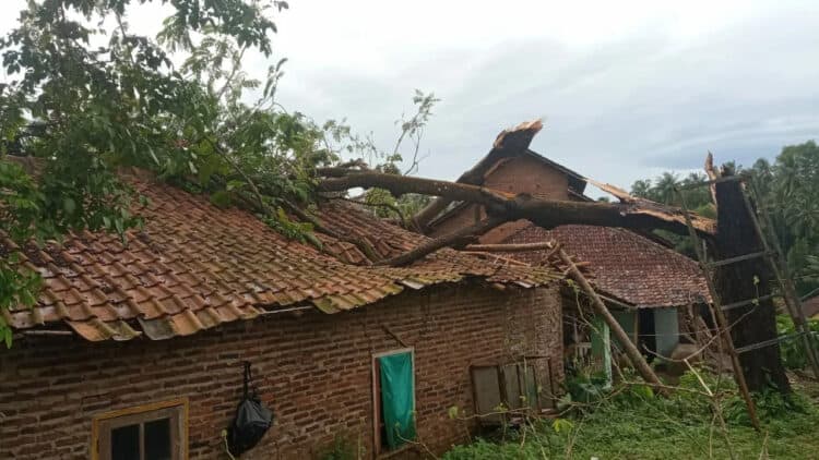 Pohon tumbang akibat diterjang angin kencang, menimpa rumah warga, beberapa hari lalu. (ISTIMEWA)