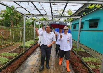 BERBINCANG–Kepala Dinas Pertanian (Distan) Provinsi Banten Agus M Tauchid (kanan), seusai melakukan penanaman pohon bersama Pj Gubernur Banten Al Muktabar, Rabu (8/2/2023). (ISTIMEWA)