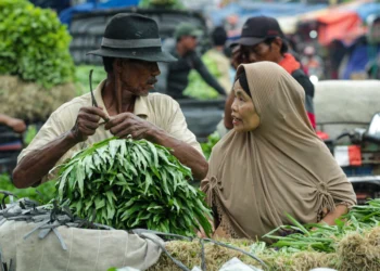 Foto Aktifitas Pedagang Sayuran di Pasar Anyar Tangerang