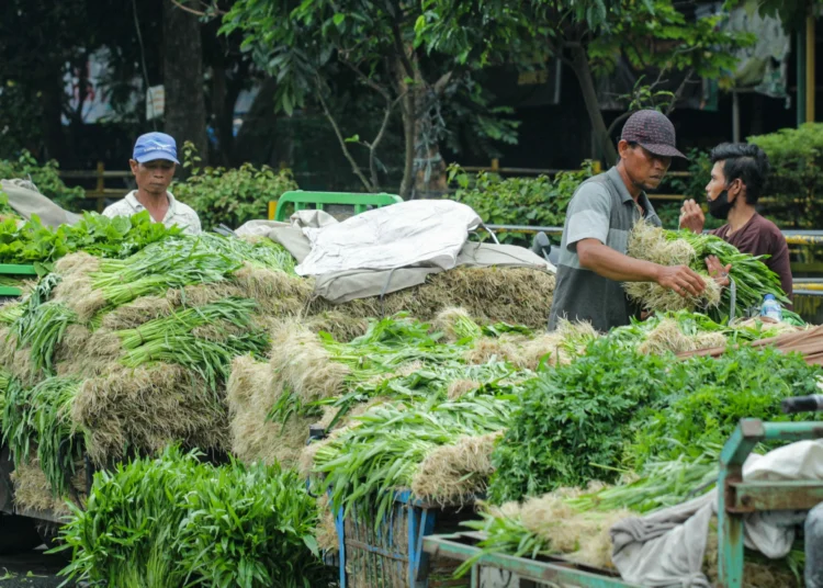 Foto Aktifitas Pedagang Sayuran di Pasar Anyar Tangerang