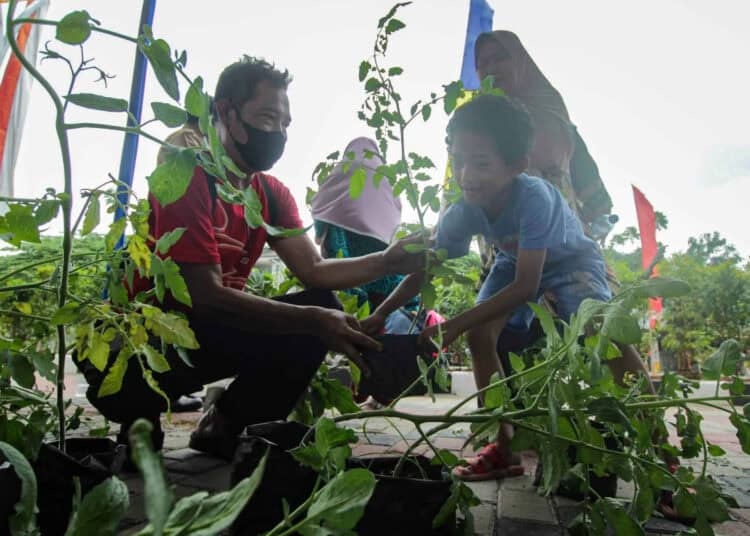 Foto Pembagian Bibit Tanaman Gratis di Cipondoh