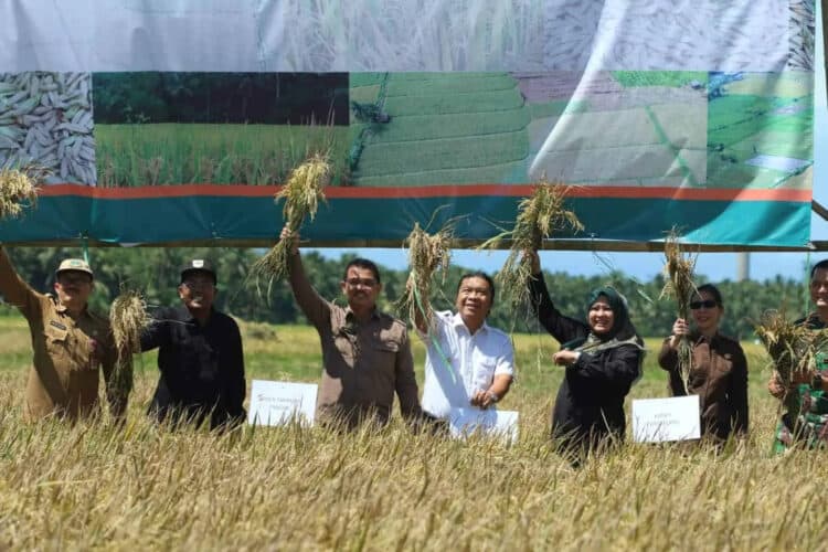 Panen Raya
