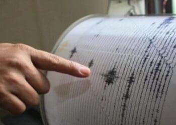 Gempa 5,4 SR Guncang Jayapura, 4 Orang Dinyatakan Tewas