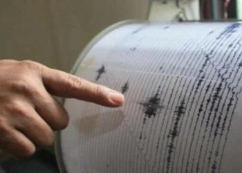 Gempa 5,4 SR Guncang Jayapura, 4 Orang Dinyatakan Tewas