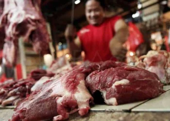 PEDAGANG DAGING SAPI–Sepekan jelang Ramadan hingga kini memasuki satu hari bulan Ramadan 1444 H, harga daging sapi di Pasar Badak Pandeglang mengalami kenaikan. Semula harganya hanya Rp120 ribu/Kg, kini menjdi Rp140 ribu/Kg. (ISTIMEWA)