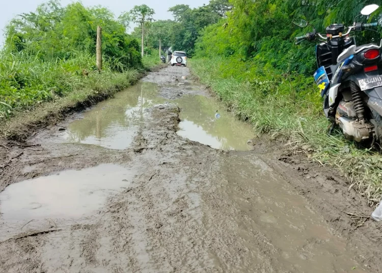 Jalan penghubung Desa Laban - Desa Tengkurak, Kecamatan Tirtayasa, Kabupaten Serang, rusak parah, Kamis (16/3/2023). (SIDIK/SATELITNEWS.COM)