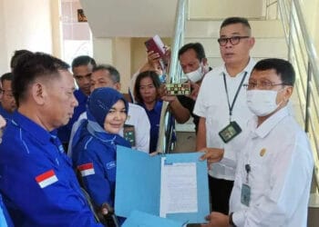 Pengurus Partai Demokrat