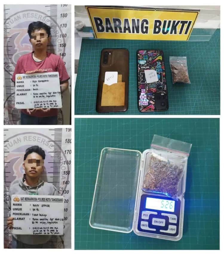 DISITA: Narkoba jenis tembakau sintetis seberat 5,26 gram yang berhasil disita oleh Satreskoba Polresta Tangerang. (DOKUMENTASI)