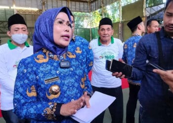 Ratu Tatu Chasanah