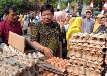 Pemkab Serang gelar OP Telur Ayam. (ISTIMEWA)