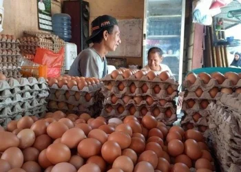 Pedagang Telur Ayam, menunggu pembeli. (ISTIMEWA)
