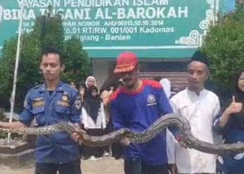 Prihatin, Rumah Janda di Cisata Kabupaten Pandeglang Ludes Terbakar