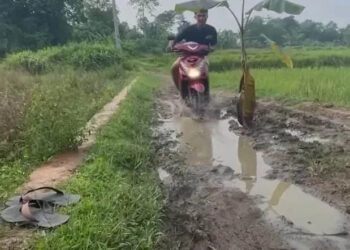 TANGKAPAN LAYAR: Screenshot unggahan video pada media sosial Instagram tentang jalan di Desa Cijuya, Kecamatan Solear yang rusak. Terlihat salah satu pengendara sepeda motor yang terjatuh karena terpeleset saat melintasi jalan yang rusak dan licin penuh lumpur. (ISTIMEWA)