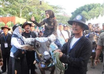 Festival Seni Multatuli Diharapkan Picu Pertumbuhan Ekonomi