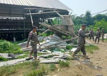 Peternakan Ayam berisi 50.000 ekor, dibongkar anggota Satpol PP Kabupaten Serang, Senin (12/6/2023). (ISTIMEWA)